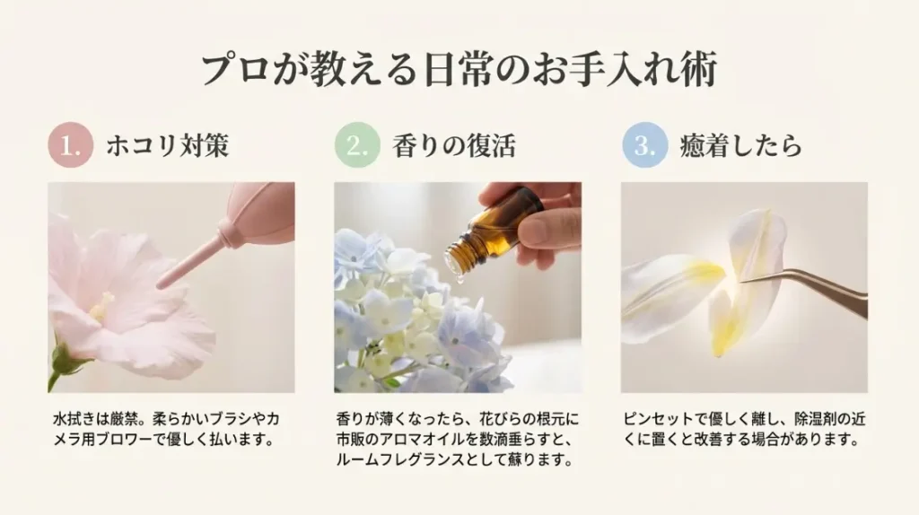 寿命を延ばすお手入れと香りを保つ保存の秘訣