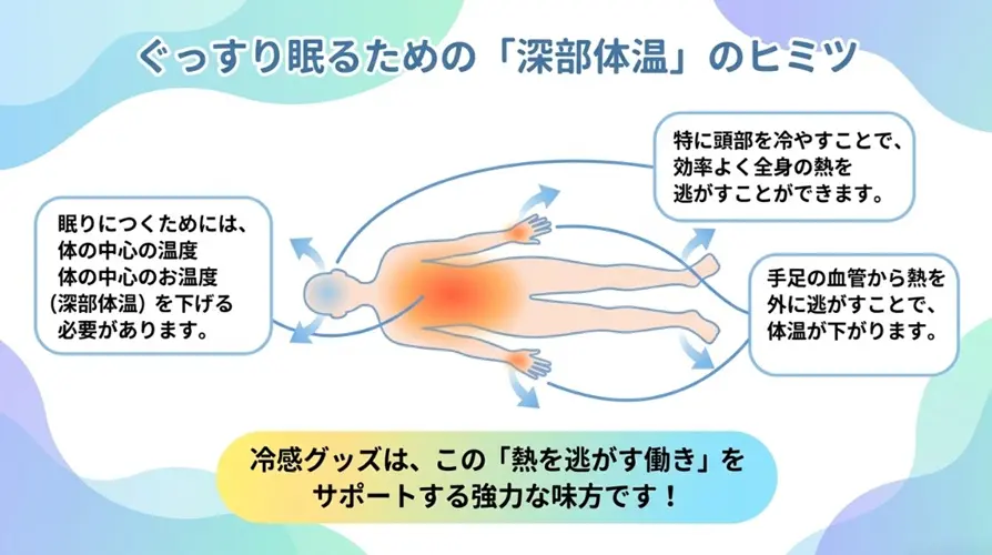 深部体温と入眠のメカニズム